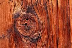 Rast izvoza drvne industrije od gotovo 50 posto